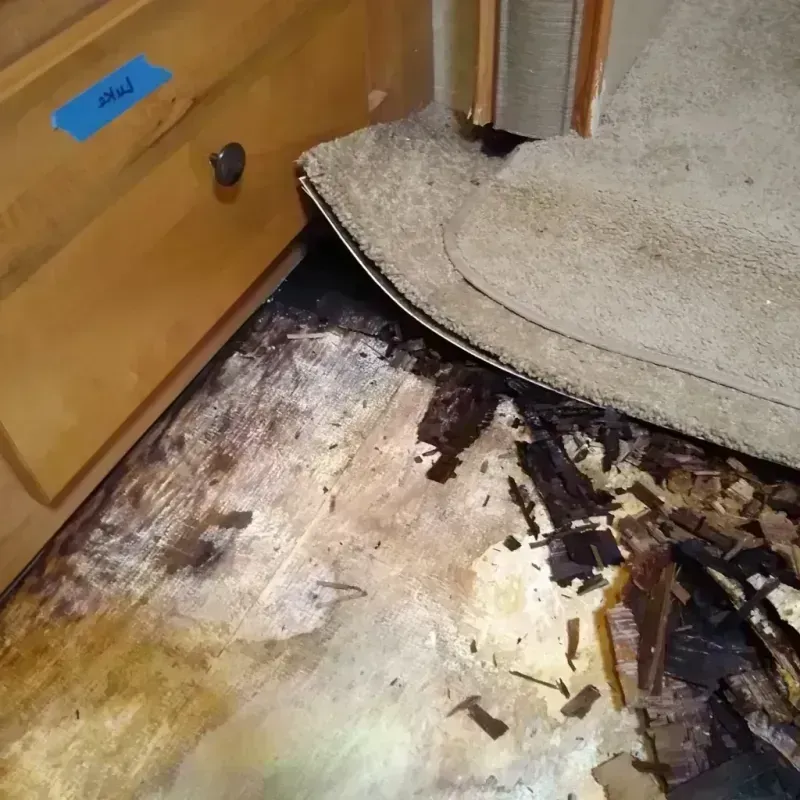 Best Wood Floor Water Damage Service in Hawthorn Woods, IL